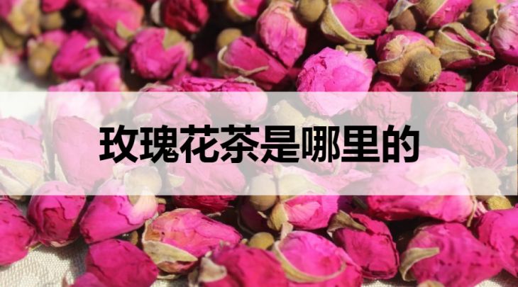 玫瑰花茶是哪里的？