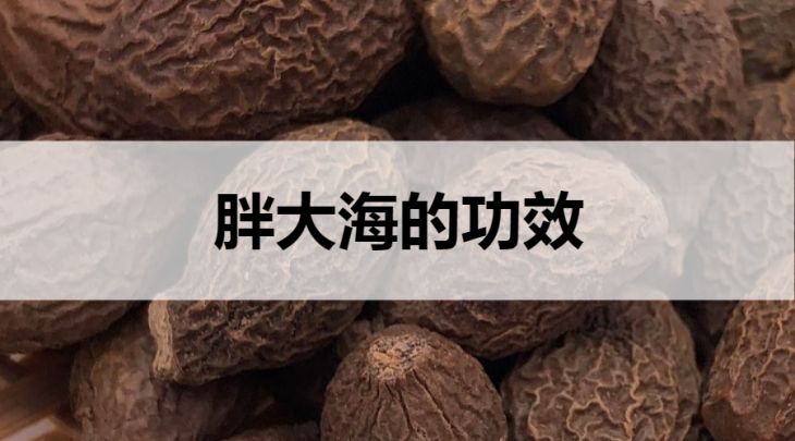 胖大海茶的功效有哪些？