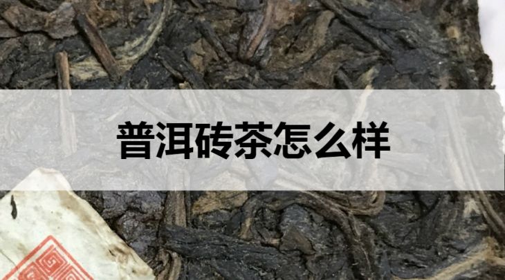 普洱磚茶怎么樣？