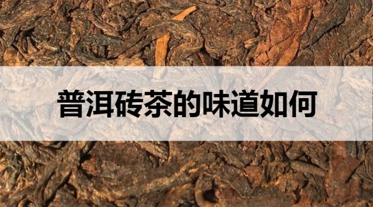 普洱磚茶的味道如何？