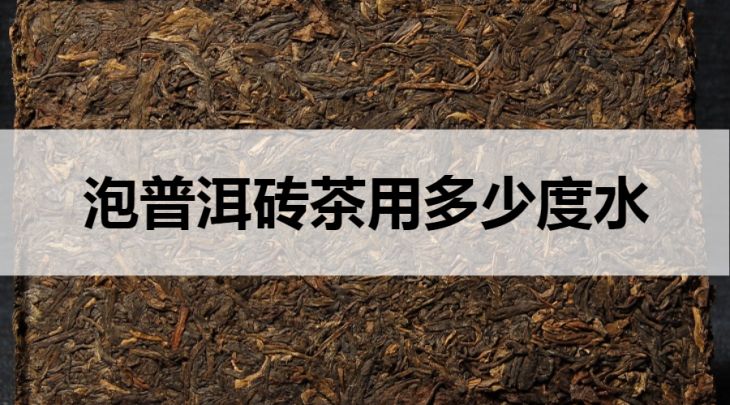 泡普洱磚茶用多少度的水？