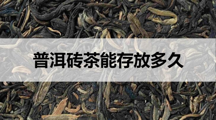 普洱磚茶能存放多久？