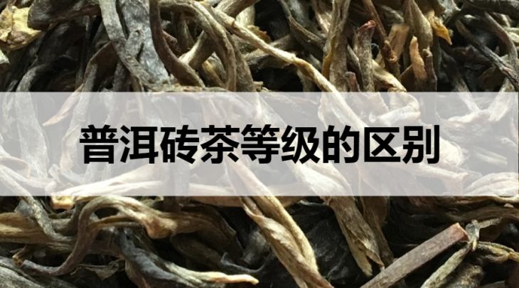 普洱磚茶等級的區(qū)別