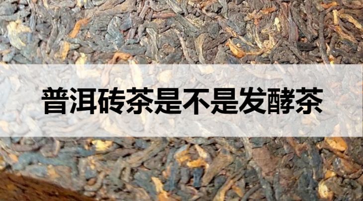 普洱磚茶是不是發(fā)酵茶？