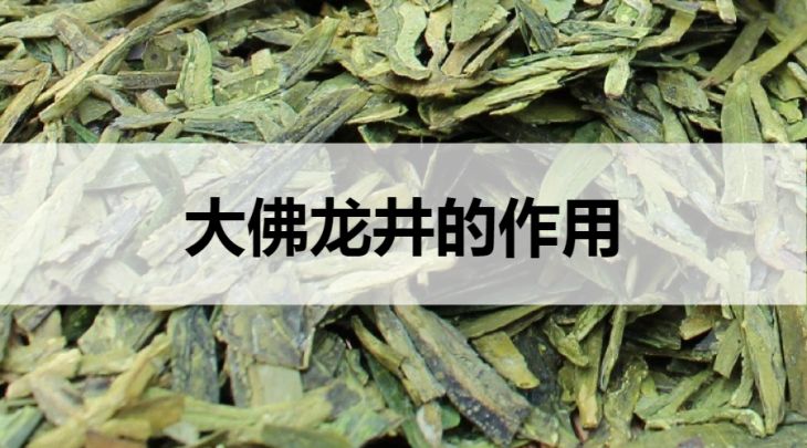 大佛龍井的作用有哪些？