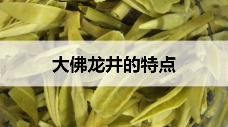 大佛龍井的特點(diǎn)有哪些？