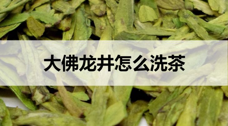 大佛龍井怎么洗茶？