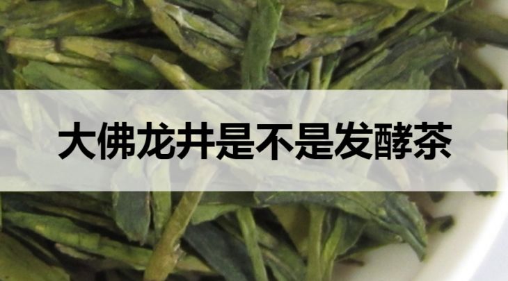 大佛龍井是不是發(fā)酵茶？