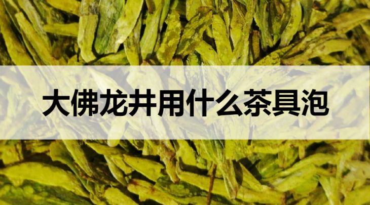 大佛龍井用什么茶具泡？