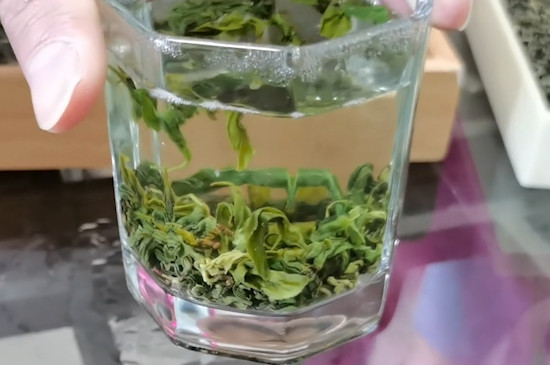 云霧茶屬于什么茶？（綠茶）