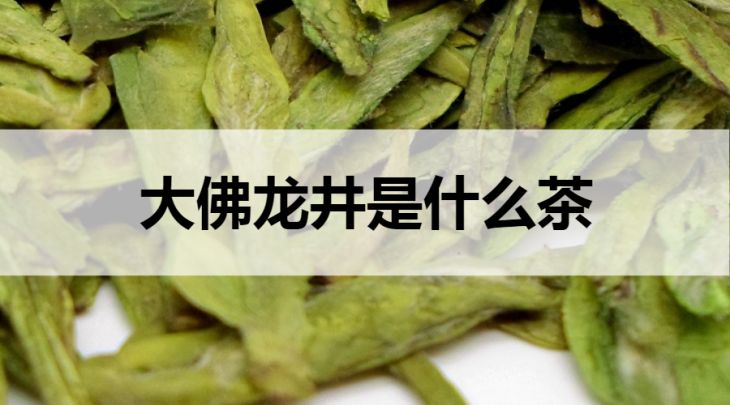 大佛龍井是什么茶？