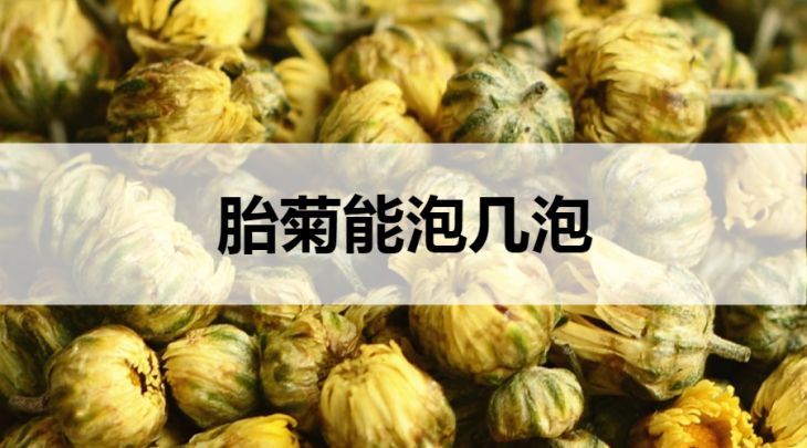 胎菊能泡幾泡？