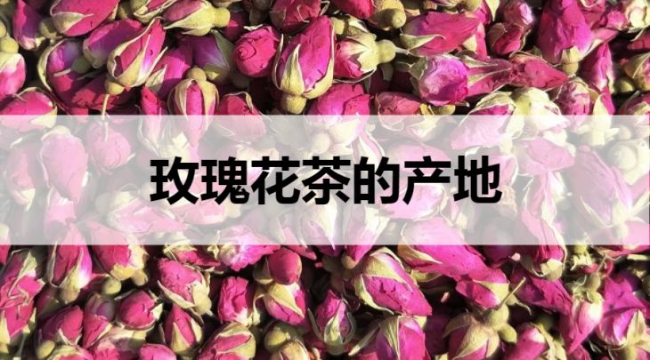 玫瑰花茶的產(chǎn)地在哪里？