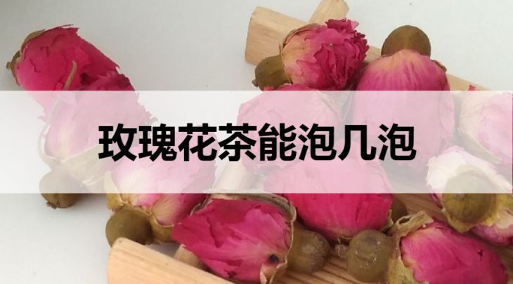 玫瑰花茶能泡幾泡?