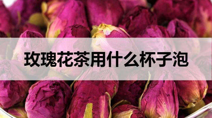 玫瑰花茶用什么杯子泡？