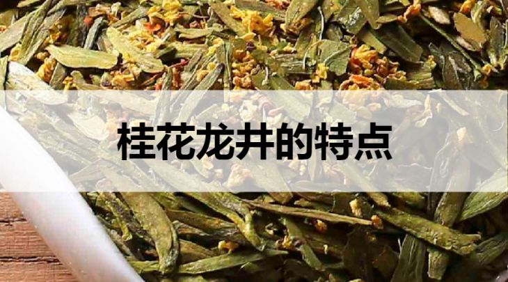 桂花龍井的特點有哪些？