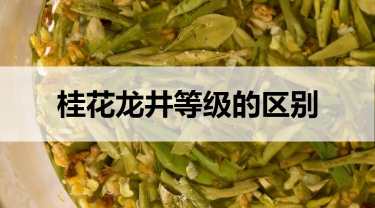 桂花龍井等級的區(qū)別？