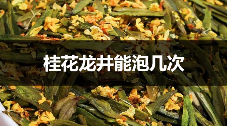 桂花龍井能沖泡幾次？