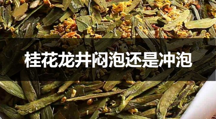 桂花龍井是悶泡還是沖泡？