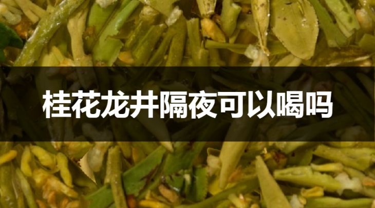 隔夜的桂花龍井能喝嗎？