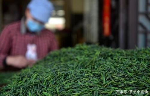 六安瓜片多少度水沖泡