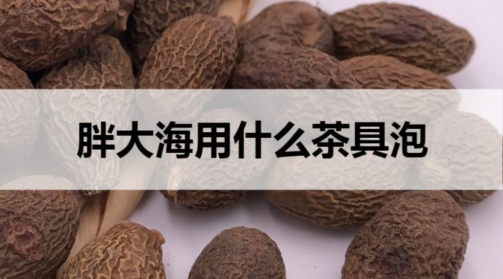 胖大海茶用什么茶具泡？