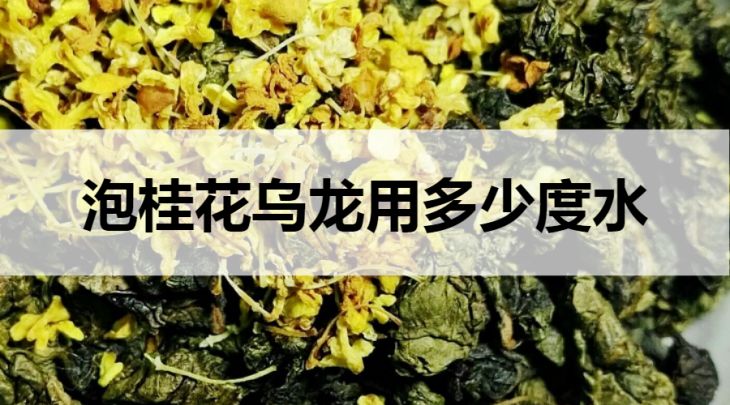 泡桂花烏龍要用多少度的水？