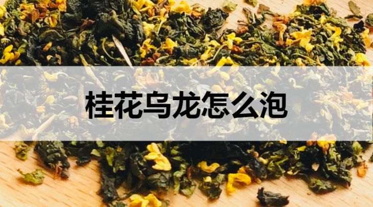 桂花烏龍怎么泡？