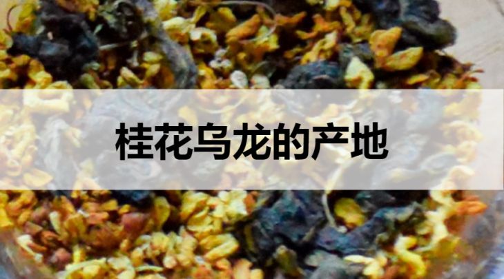 桂花烏龍茶的產(chǎn)地在哪里？