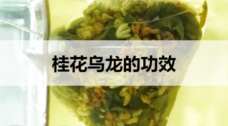 桂花烏龍茶的功效有哪些？