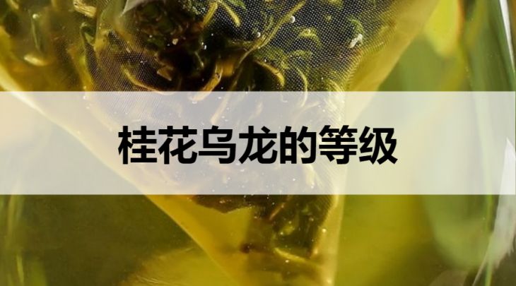 桂花烏龍的等級劃分