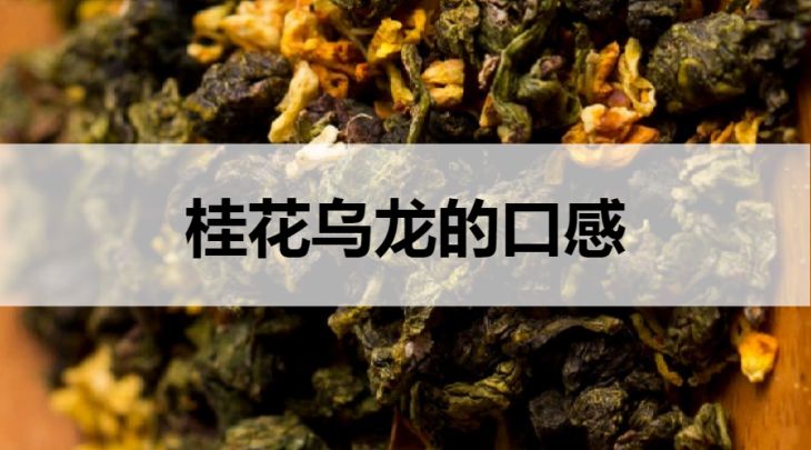 桂花烏龍的口感怎么樣？