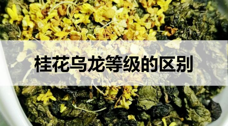 桂花烏龍等級的區(qū)別