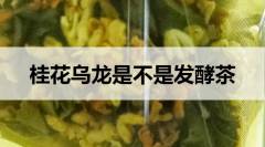 桂花烏龍茶是不是發(fā)酵茶？