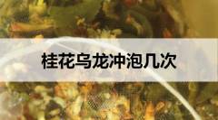 桂花烏龍能沖泡幾次？