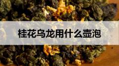 什么壺適合泡桂花烏龍茶？