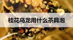 桂花烏龍用什么茶具泡？