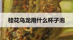 桂花烏龍茶用什么杯子泡？