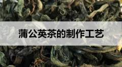 蒲公英茶的制作工藝