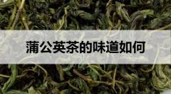 蒲公英茶的味道如何？