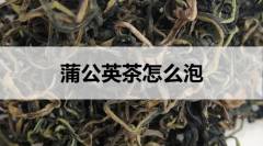 蒲公英茶怎么泡？