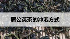 蒲公英茶的沖泡方式