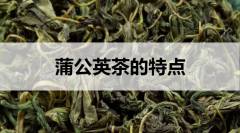 蒲公英茶的特點有哪些？