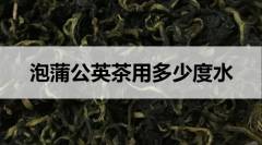 泡蒲公英茶用多少度水？