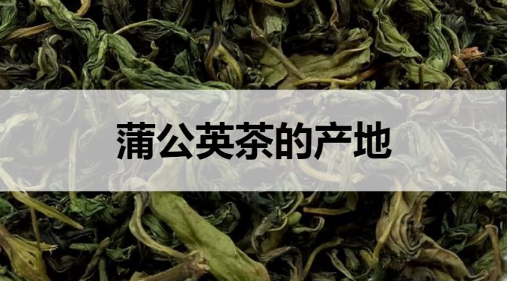 蒲公英茶的產(chǎn)地在哪里？