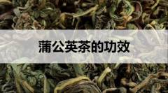 蒲公英茶的功效有哪些？