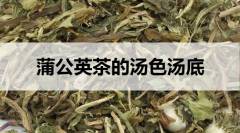 蒲公英茶的湯色湯底什么樣？