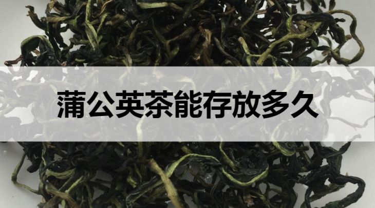 蒲公英茶能存放多久？