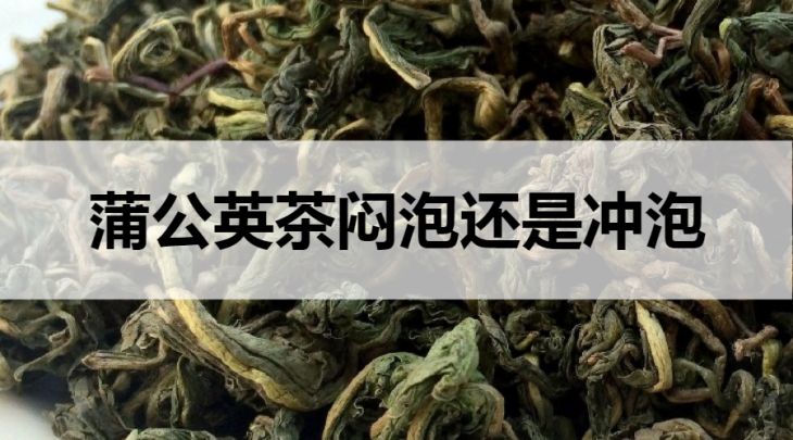 蒲公英茶悶泡還是沖泡？