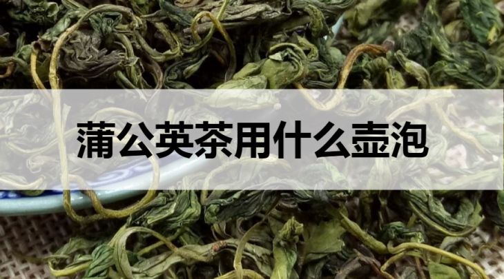 蒲公英茶用什么壺泡？